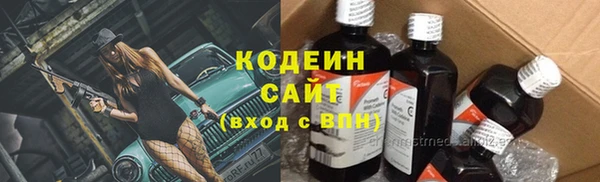 прущие грибы Бугульма