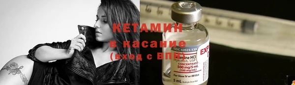 прущие грибы Бугульма