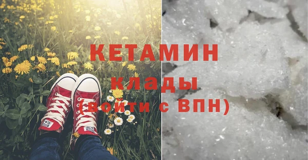 прущие грибы Бугульма