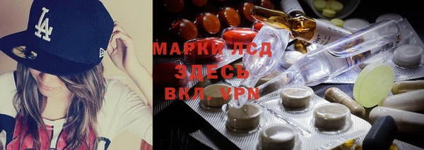 спиды Бородино